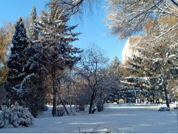 通关快捷！关税优惠应享尽享！大连海关出实招助力企业加速跑