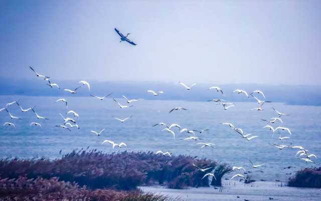 “福山蓝”如何来？烟台福山区四源共治，提升群众蓝天幸福感