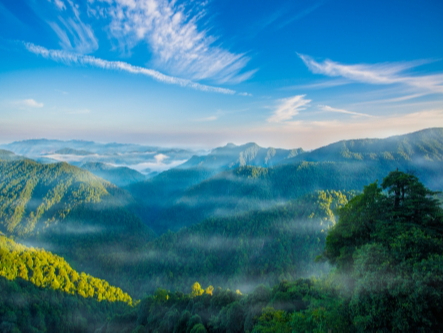 火药味十足！江西安远县人大常委会专题询问“两山”理论践行情况