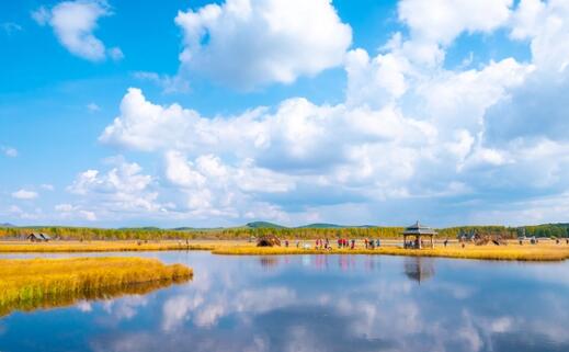 习近平提出，推动绿色发展，促进人与自然和谐共生