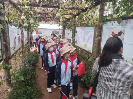 在农场里做“小菜农”！吉林辽源开展绿