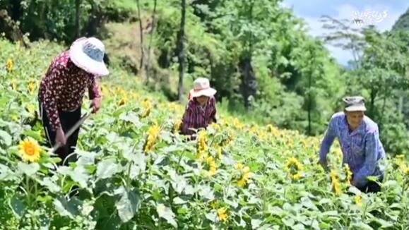 瑶山变“金山” 让村民享受更多政策红利