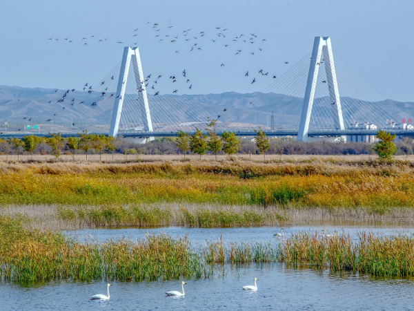 热议二十大丨宁夏回族自治区生态环境系