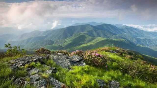 特约评论员眼中的十年变化⑬ ：空气净化