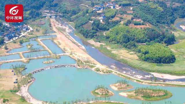 丽水遂昌：见证一场生态共富之旅