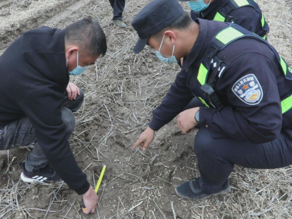 黑龙江密山又现野生东北虎足迹