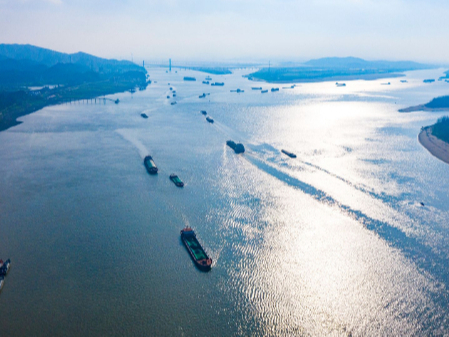 聚焦二十大丨长三角区域一体化绿色发展