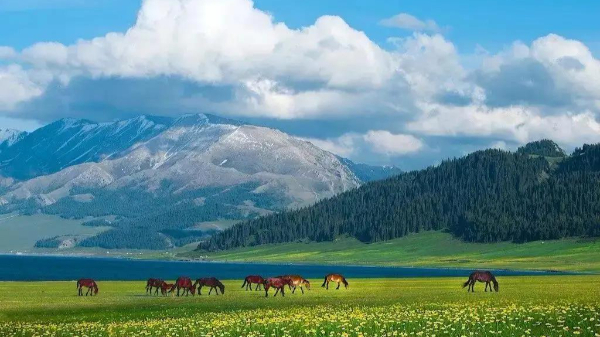 特约评论员眼中的十年变化⑰：自然保护