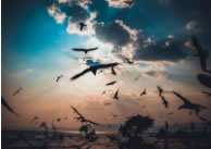 “架在高空的望远镜”“中国环监001”…