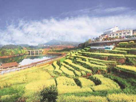 二十大时光 | 这套治水新系统为啥要自动