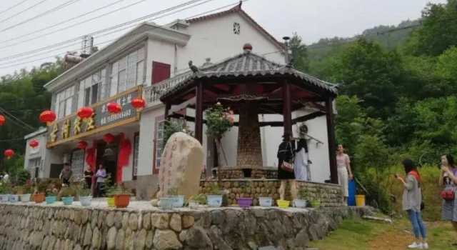 霍山县单龙寺镇:特色产业绿了乡村富了农家