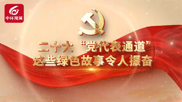 智慧钢厂、百万亩林海、裸鲤保护……党代表的这些绿色故事令人振奋