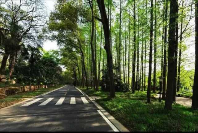 今年审批建设项目环评9160个！山东项目环