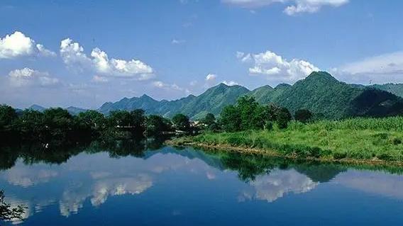 守护多样物种 多地多部门加大生物多样性