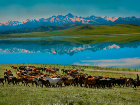 守住自然生态安全边界，筑牢国家西部生态安全屏障——甘肃生态文明建设纪实