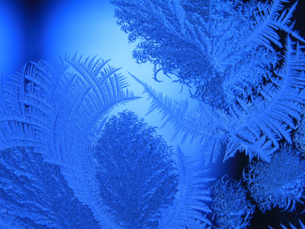 《正在消逝的冰川》获第七届气候影视大