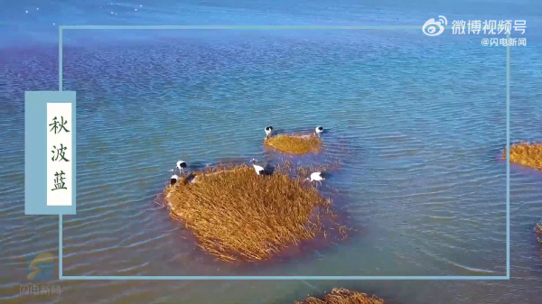 美！黄河口的传统色调能有多惊艳