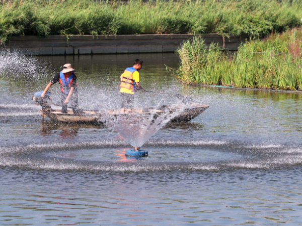 中国环境报评论：发扬斗争精神，增强斗争本领，建设人与自然和谐共生的现代