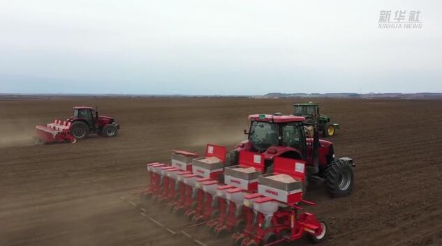 新华全媒+｜黑龙江黑河：秋收全面完成 秋整地作业正酣