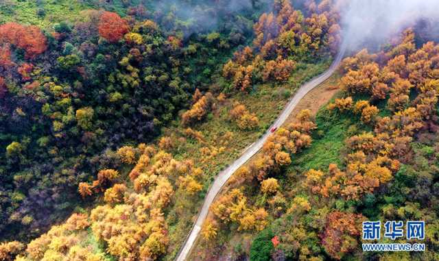【“飞阅”中国】在梨子坪森林公园赴一场秋日之约