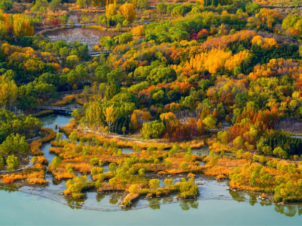 新增26个国家森林城市，有你的家乡吗？