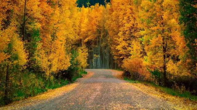 【学报告·话发展】臧润国：实施生物多样性重大工程建设振奋人心