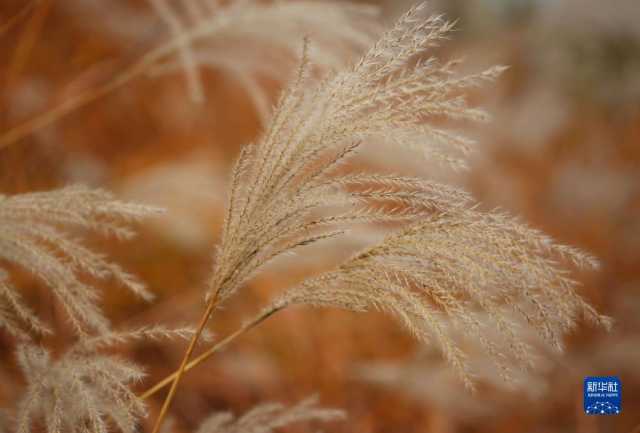 新华全媒+丨微视界——立冬