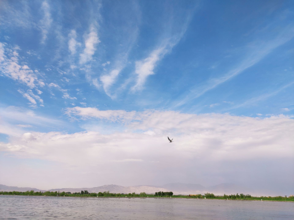 海淀区生态环境局为移动污染源减排助力