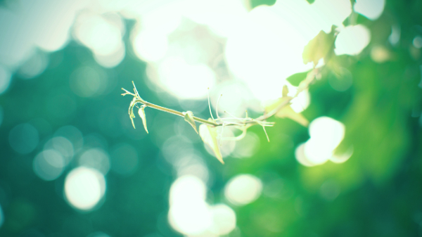 优化评查方式提升办案质效