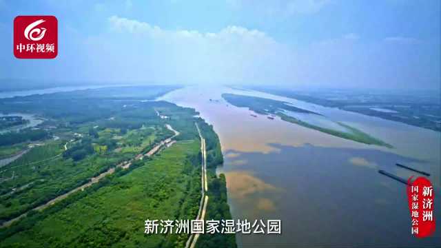 南京长江新济洲国家湿地公园：“江中绿