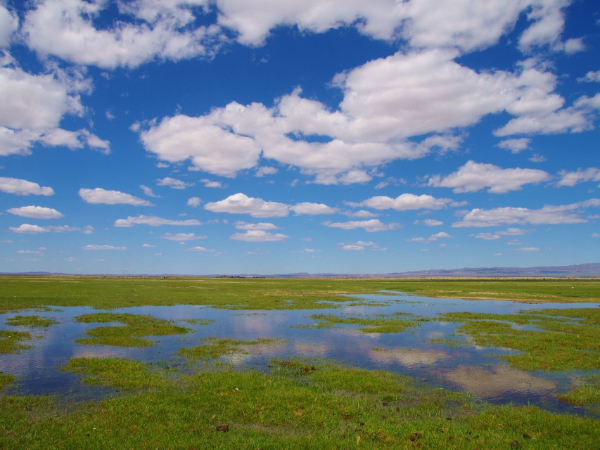 新疆持续推进重要生态系统保护和修复重大工程建设！已启动实施4个重要生态