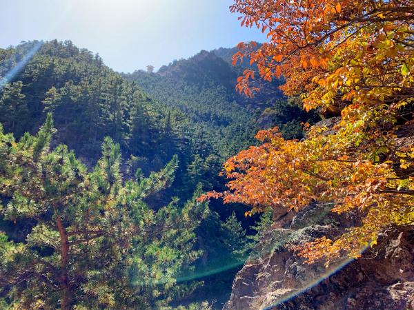 从纸面落到地面！宁夏正式启用“三区三线”划定成果
