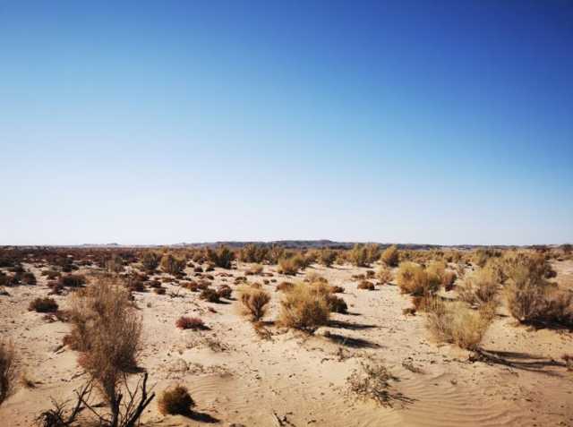 踔厉奋发向未来·二十大精神在基层丨内蒙古乌拉特草原牧民：守护北疆绿色生