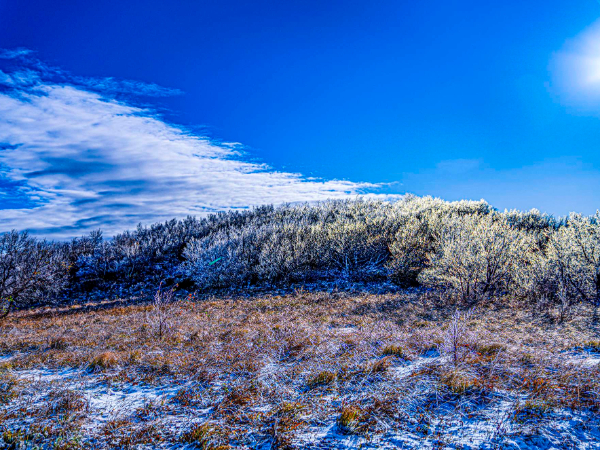 重磅解读COP27！​中国环境报独家专访阳平坚：应对气候变化，适应应该和减缓