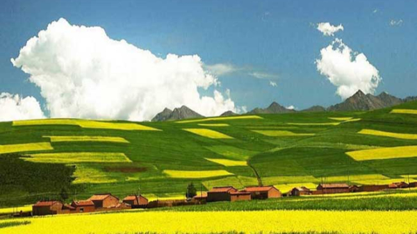 云南动真碰硬抓生态环境保护促高质量发展