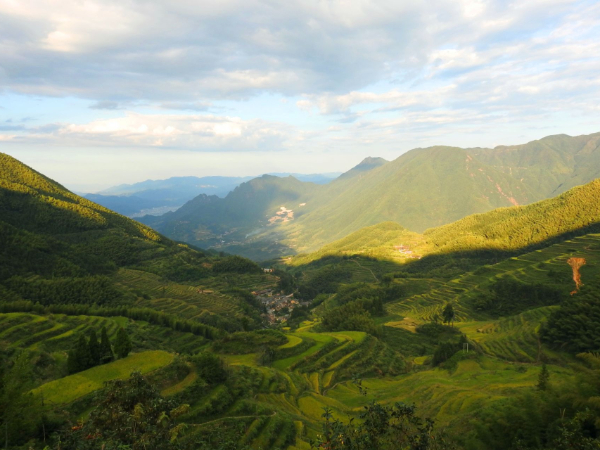 巩固脱贫成果，建设美丽乡村，三方携手开启大连市洪屯