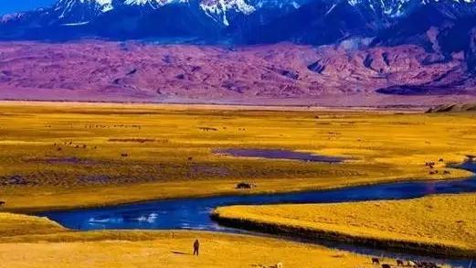 成都出台新规，优化中试项目（基地）环评审批流程