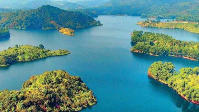 黄海滩涂的鸟类“守望者”：一家三代接