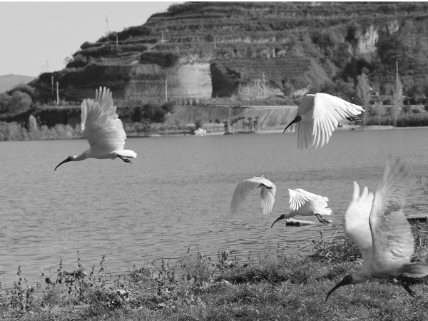 以司法之力造福人类！最高法发布《中国