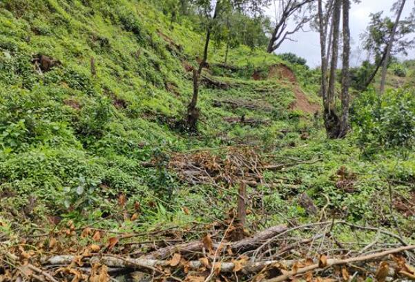 依法治湖！云南2017年以来查处涉及九湖违