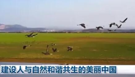 湿地保护与利用迈出新步伐