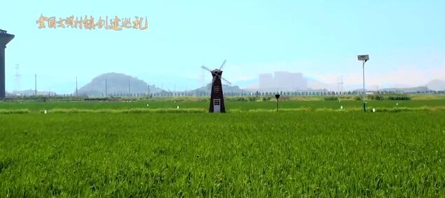 全国文明村镇创建巡礼第85期丨浙江省诸