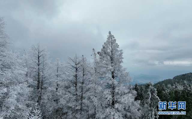 【“飞阅”中国】树挂冰晶山披玉衣 重庆
