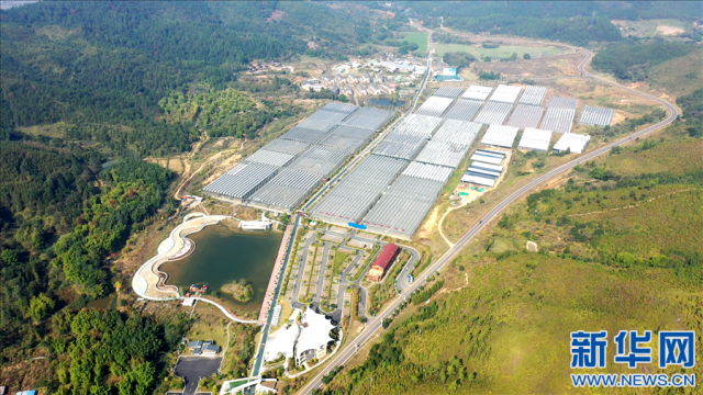 乡村振兴在行动丨孵化本土电商达人 举办全国体育赛事——山区小城江西全南