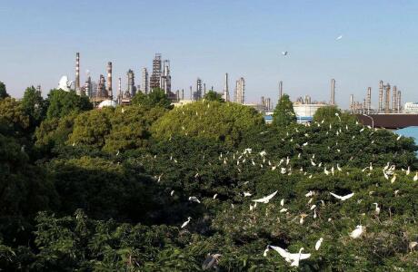 多家中企入选生物多样性保护最佳实践案例集