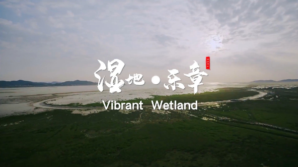 生物多样性优秀案例（3）：福建闽江河口湿地生物多样性保护