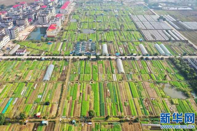 希望的田野丨江西宜春“绿意盎然” 种出