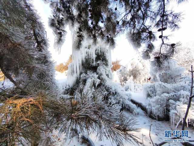 冬日，来赴一场视觉的冰雪盛宴
