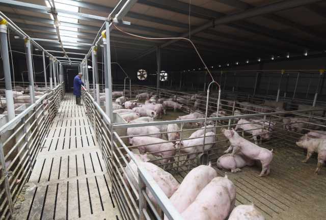 蠡县分类施策治理农村黑臭水体，17个点