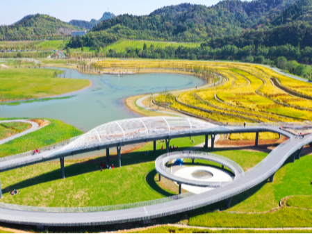 湖北省厅召开全省环境空气质量年度目标攻坚会